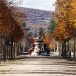 Las Tazas Fuente de Las Tazas, Jardines de la Granja