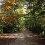 Walking in autumn